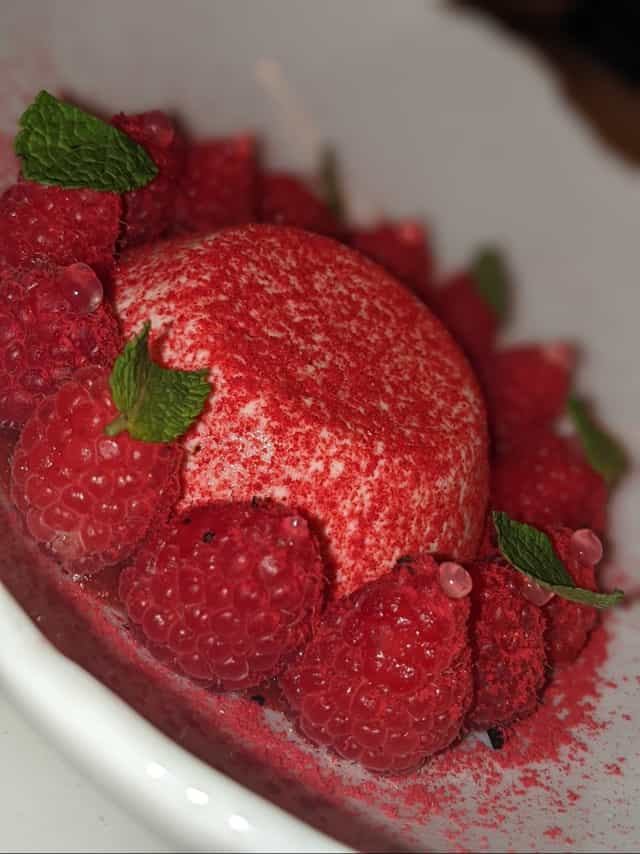 Pannacotta con frambuesas